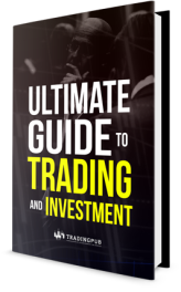 Best guide to trading options